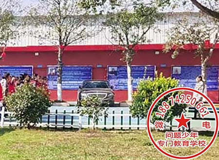 孩子玩手机上瘾怎么办