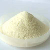 蚓激酶556743-18-1生物酶试剂