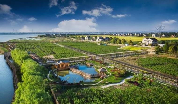 文章配图-3